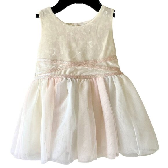The Childrens Place Toddler Dress 18-24M Tulle Skirt and Ivory Velvet Top - Picture 1 of 10